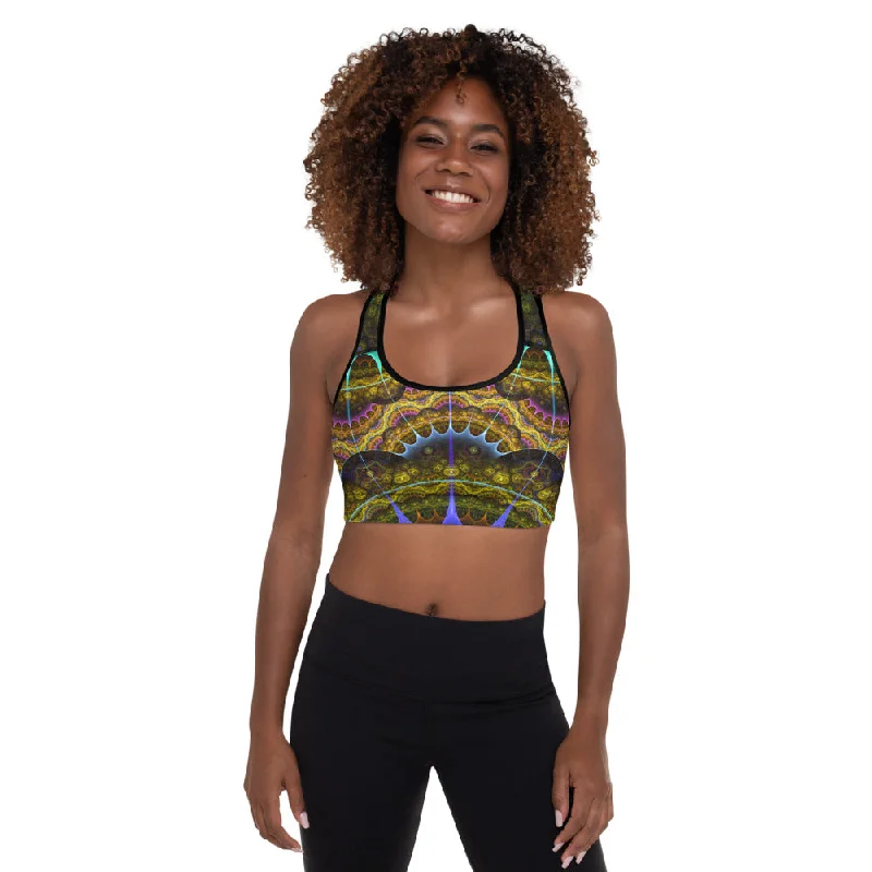 Astrolabe padded sports bra